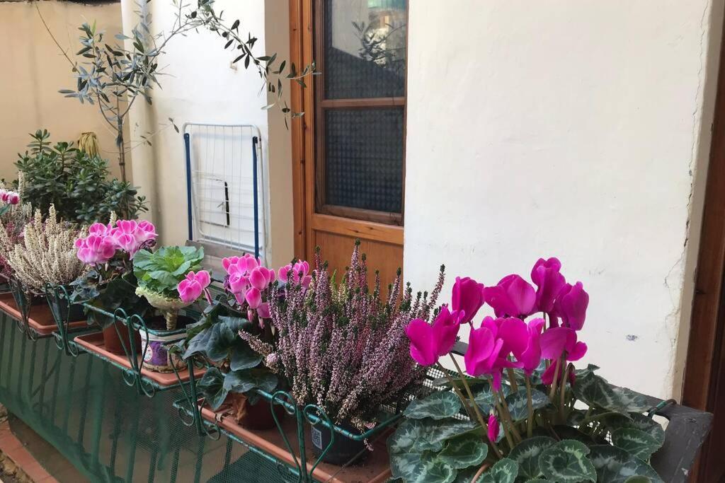 Deluxe Apartment In The Centre Of Firenze Eksteriør bilde